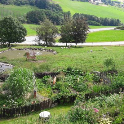 Hausgarten mit Teich