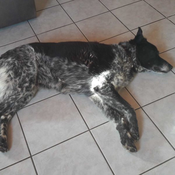 20161121_095000-compressed