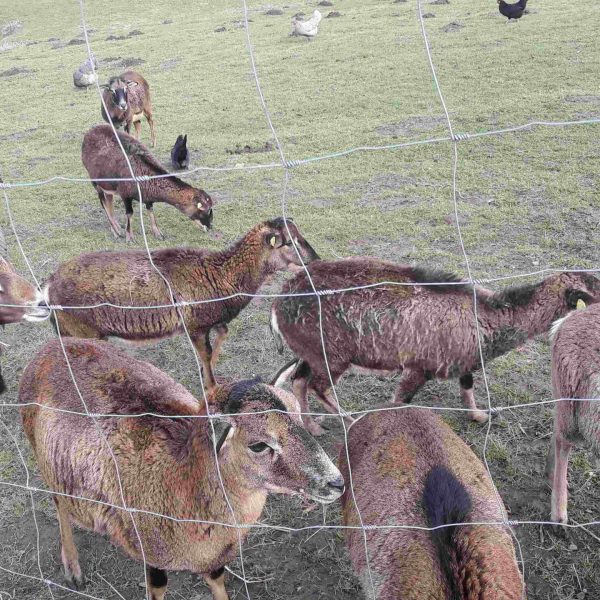 20170323_144945-compressed