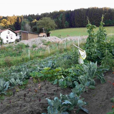 Gemüseacker