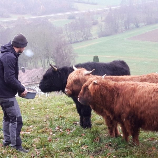 20191120_080941-compressed