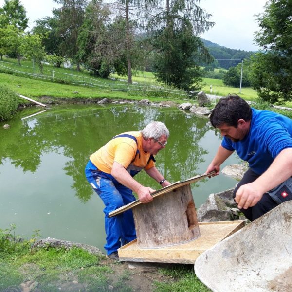 20200616_180510-compressed