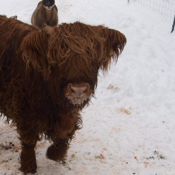 andacht24-compressed