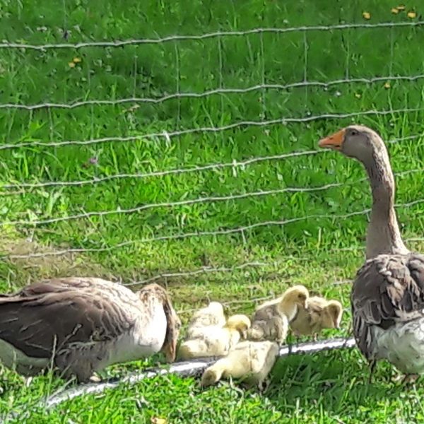 andacht35-compressed